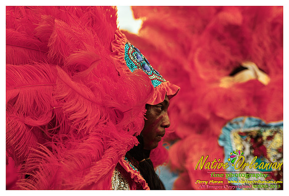 super_sunday_mardi_gras_indians_jm_031713_081