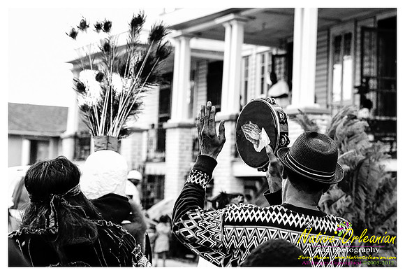 mardi_gras_monk_boudreaux_jm_022112_116