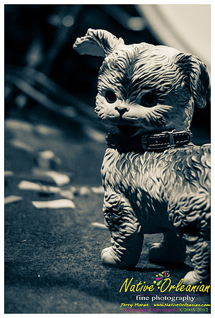 no_bingo_show_dba_jm_071012_008