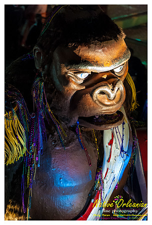 bacchus_jm_021912_017