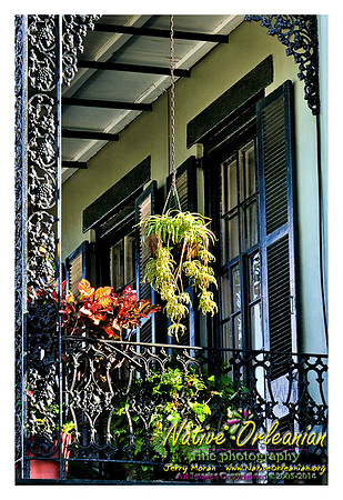 french_quarter_balconies_2008_jm_©nofp