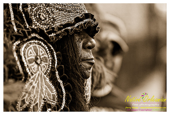 mardi_gras_monk_boudreaux_jm_022112_048