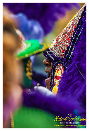 mardi_gras_monk_boudreaux_jm_022112_051