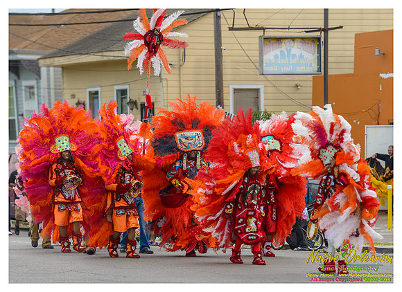 super_sunday_mardi_gras_indians_jm_031713_129