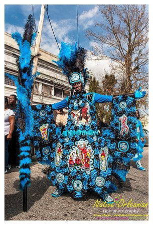 mardi_gras_monk_boudreaux_jm_022112_074