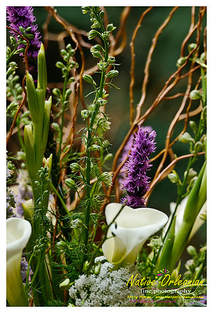 champagnewed04022011_018