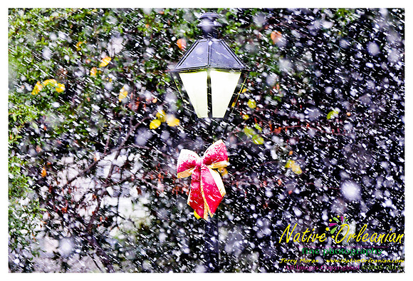 new_orleans_christmas_blizzard_jm_121108_005