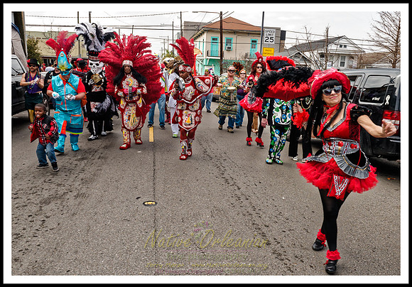 big_chief_monk_boudreaux_mardi_gras_day_jm_021318_050