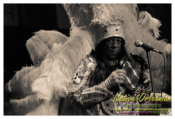 bo_dolis_jr_wild_magnolias_publiq_house_jm_082714_010