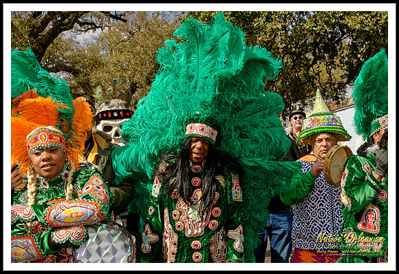 big_chief_monk_boudreaux_mardi_gras_day_jm_021715_036