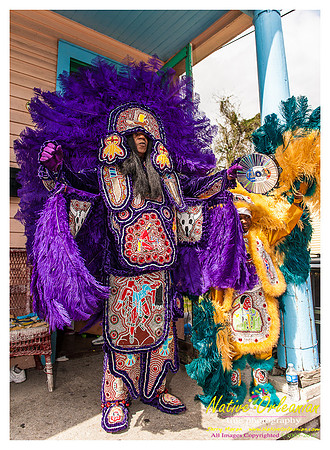 mardi_gras_monk_boudreaux_jm_022112_012