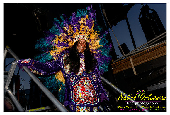 vow_allstars_chenago_blues_fest_jm_081812_031