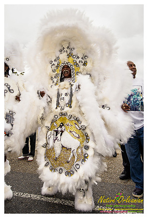 super_sunday_mardi_gras_indians_jm_031713_155