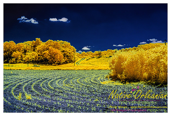 infrared_vow_trip_jm_060113_001