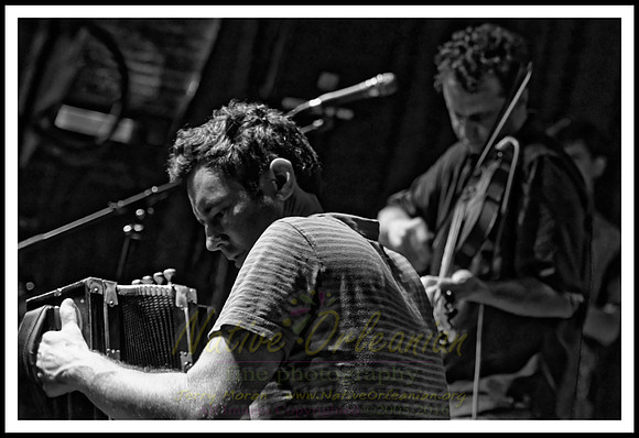 lost_bayou_ramblers_spider_stacy_dba__jm_072416_016