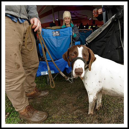 dogs_of_tbois_blues_fest_jm_031619_011