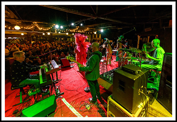 samantha_fish_cigar_box_fest_howlin_wolf_nola_jm_011720_019
