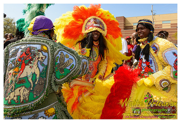 super_sunday_mardi_gras_indians_jm_031713_041