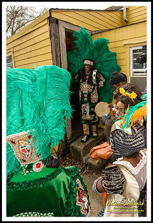 big_chief_monk_boudreaux_mardi_gras_day_jm_021715_016
