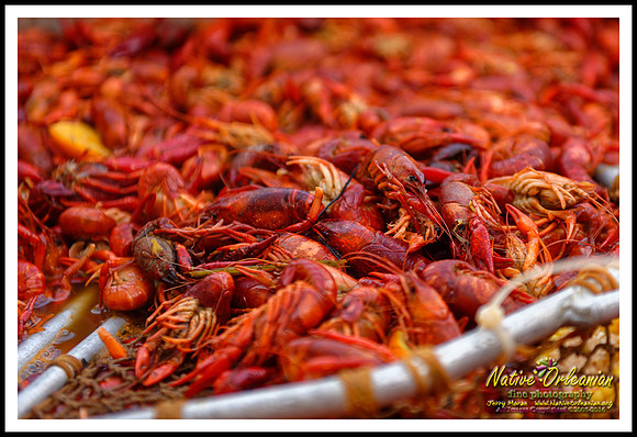 soul_brass_band_crawfish_dba_jm_010314_003