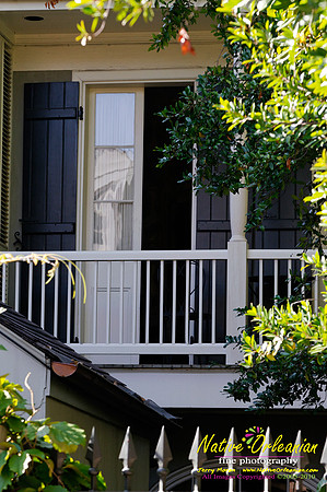New Orleans Scenes
