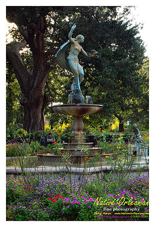 New Orleans Scenes