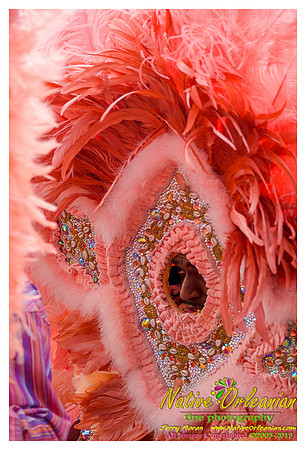 super_sunday_mardi_gras_indians_jm_031713_108
