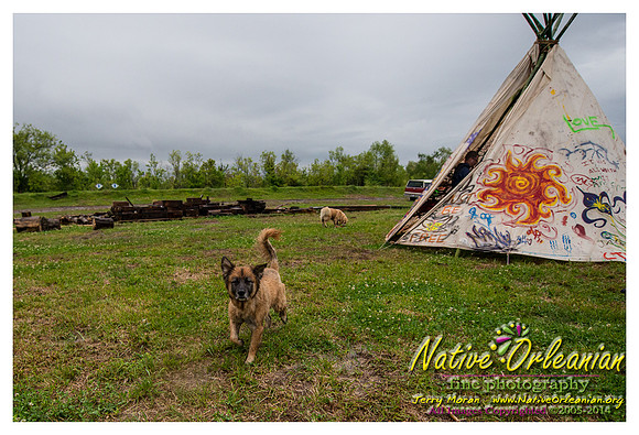the_dogs_of_tbois_blues_fest__jm_040514_012