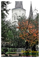new_orleans_christmas_blizzard_jm_121108_001