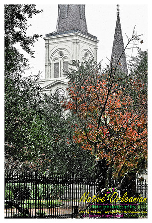 new_orleans_christmas_blizzard_jm_121108_001