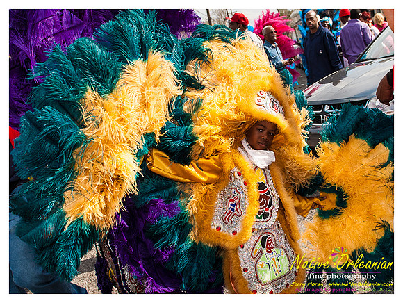 mardi_gras_monk_boudreaux_jm_022112_089