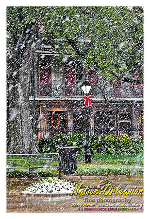 pontalba_xmas_blizzard_2008_jm_©nofp
