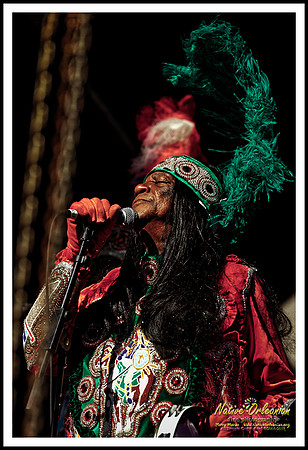 big_chief_monk_boudreaux_lafayette_square_jm_020715_005