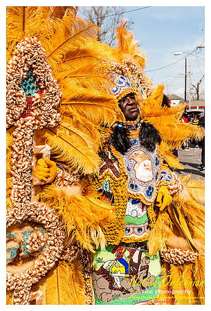 mardi_gras_monk_boudreaux_jm_022112_080