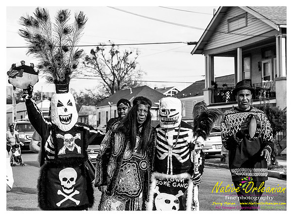 mardi_gras_monk_boudreaux_jm_022112_113