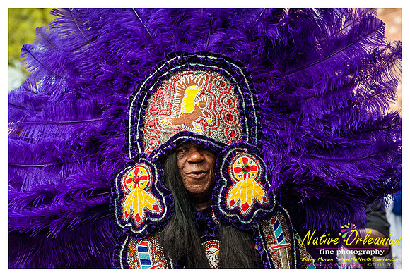 mardi_gras_monk_boudreaux_jm_022112_046