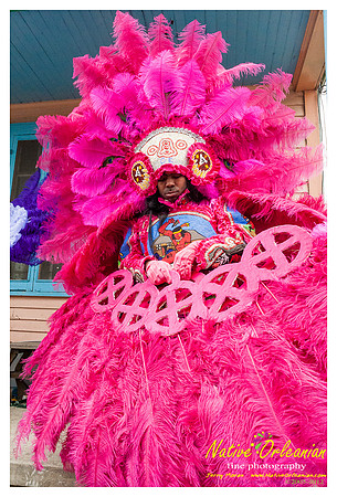 mardi_gras_monk_boudreaux_jm_022112_001