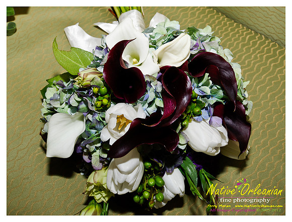 champagnewed04022011_008