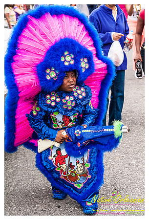 mardi_gras_monk_boudreaux_jm_022112_052